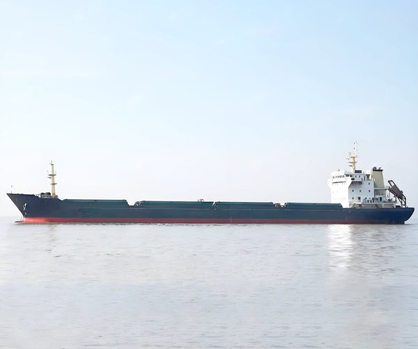 2008 Built 15600 DWT Bulk Carrier For Sale | Ship for Sale | ShipsTrading