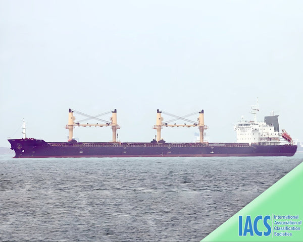 2009 Built 30000 DWT Bulk Carrier For Sale | Ship for Sale | ShipsTrading