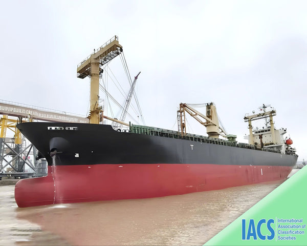 2009 Built 12000 DWT Bulk Carrier For Sale | Ship for Sale | ShipsTrading