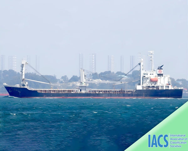 2009 Built 8700 DWT Bulk Carrier For Sale | Ship for Sale | ShipsTrading