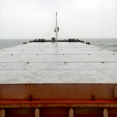 2017 Built 9200 DWT Bulk Carrier For Sale - 5 - ShipsTrading