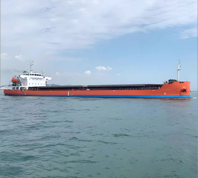 2017 Built 9200 DWT Bulk Carrier For Sale - 4 - ShipsTrading