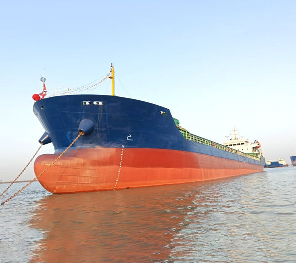 2022 Built 2025 Rebuilt 7500 DWT Bulk Carrier For Sale | Ship for Sale | ShipsTrading