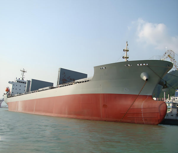 2009 Built 13000 DWT Cargo Ship For Sale | Ship for Sale | ShipsTrading