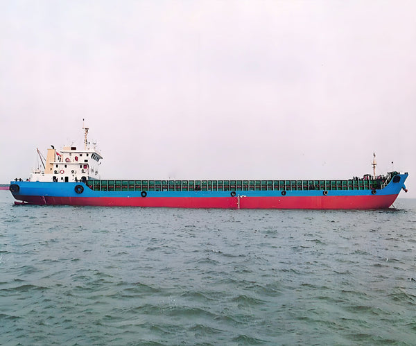 2009 Built 2800 DWT Landing Craft Tank For Sale | Ship for Sale | ShipsTrading